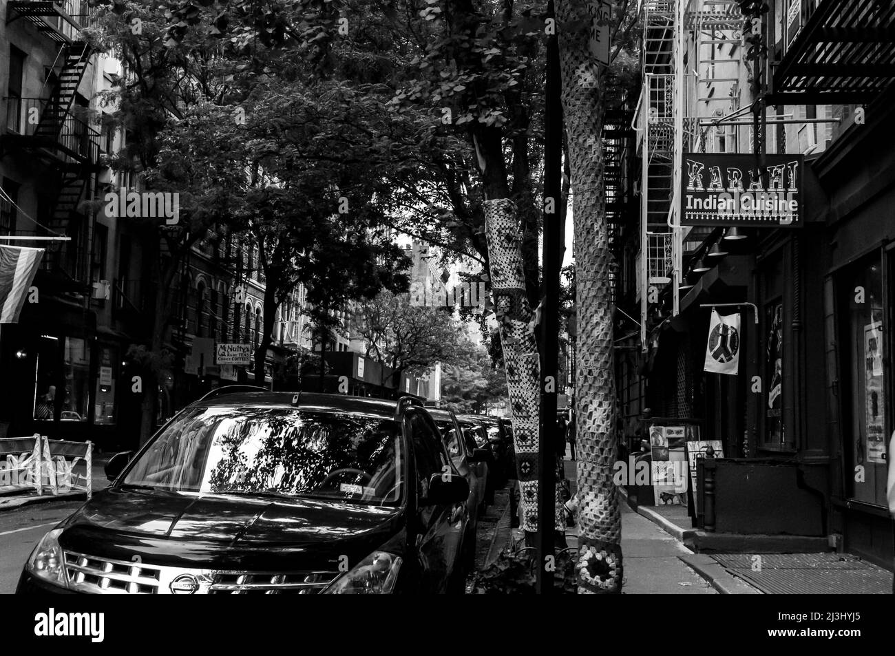 9TH AVE, New York City, NY, USA, Guerilla Knitting, Yarn Bombing trees Stock Photo