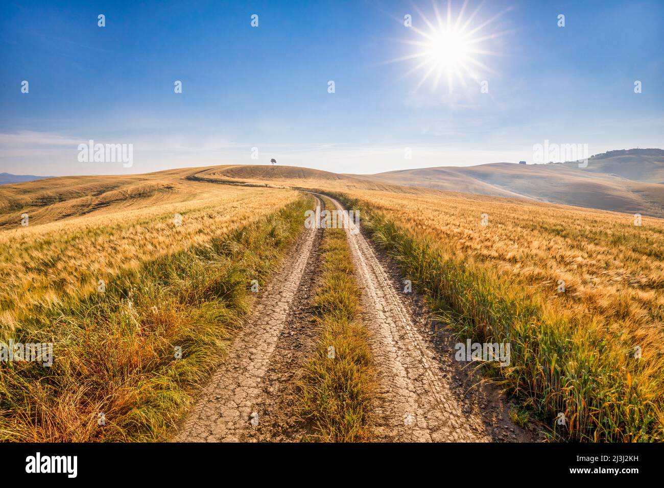 Europe, Italy, Tuscany, Siena, landscape of Crete Senesi, countryside landscape, country road among the cultivated fields, municipality of Asciano Stock Photo