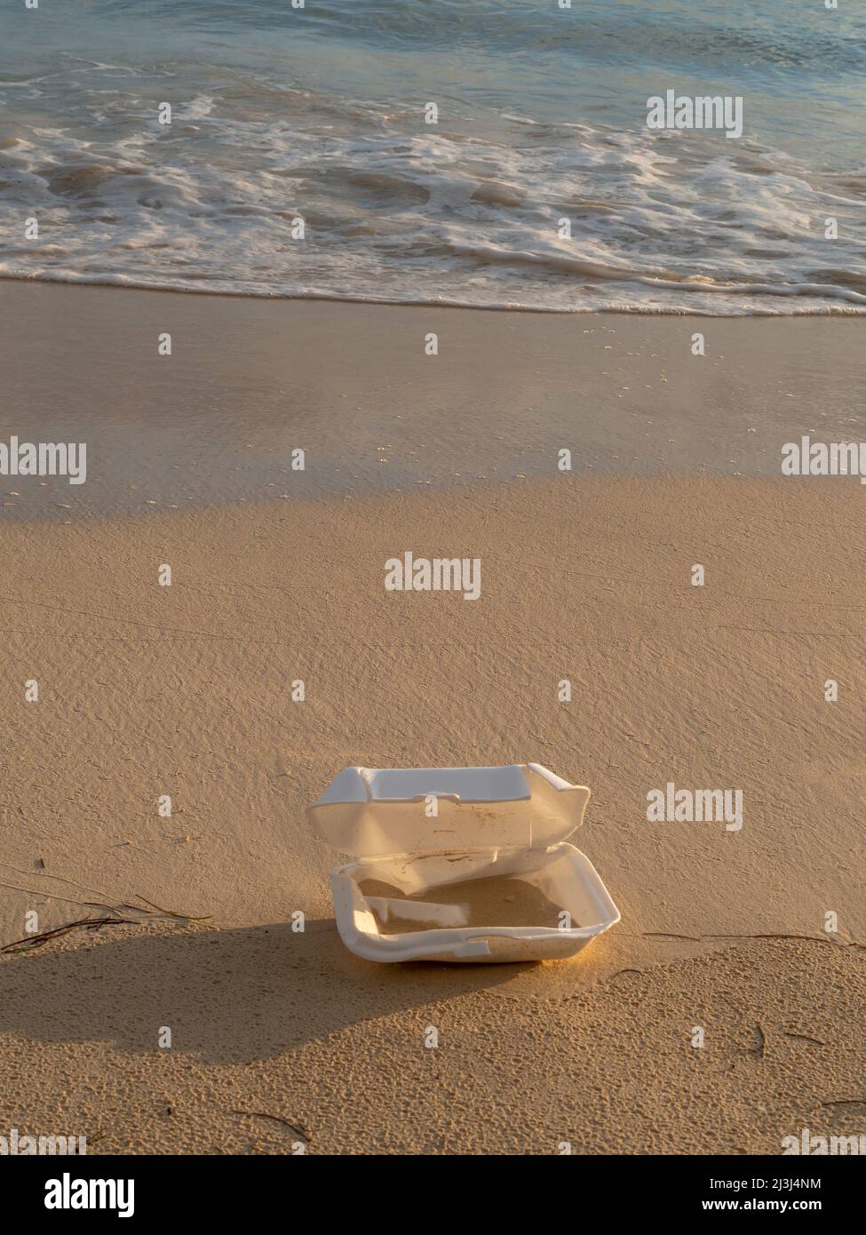 Disposable plate left on a beautiful beach with a sunset, blue water and clean sand Stock Photo