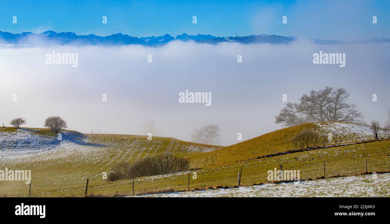 Fog landscape with view to the High Peißenberg near Pähl, Ammersee Region, Bavaria, Germany, Europe Stock Photo