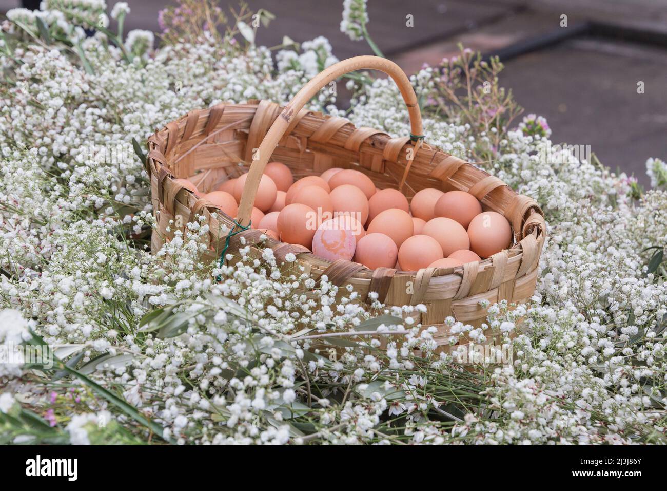 Easter eggs, Explosion of the Cart festival, Florence, Tuscany, Italy, Europe Stock Photo