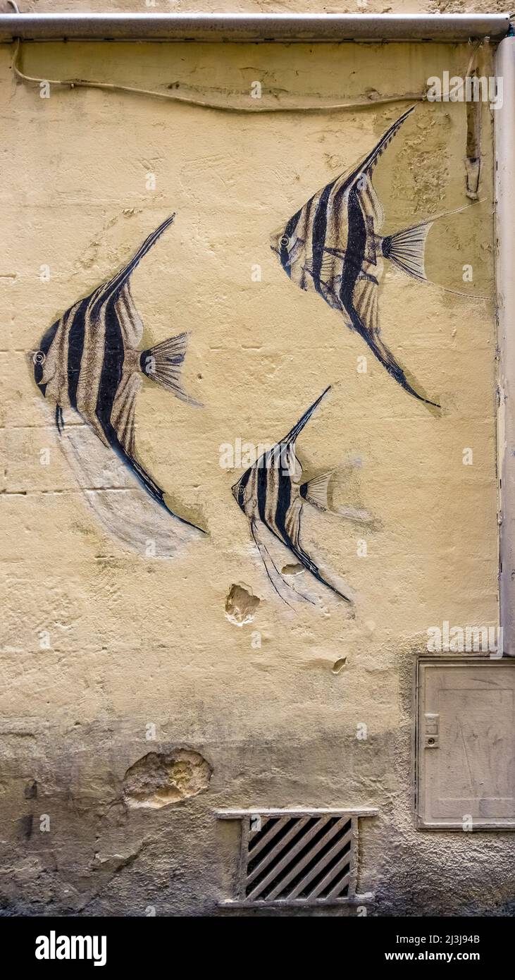 Graffiti in the old town of Montpellier Stock Photo