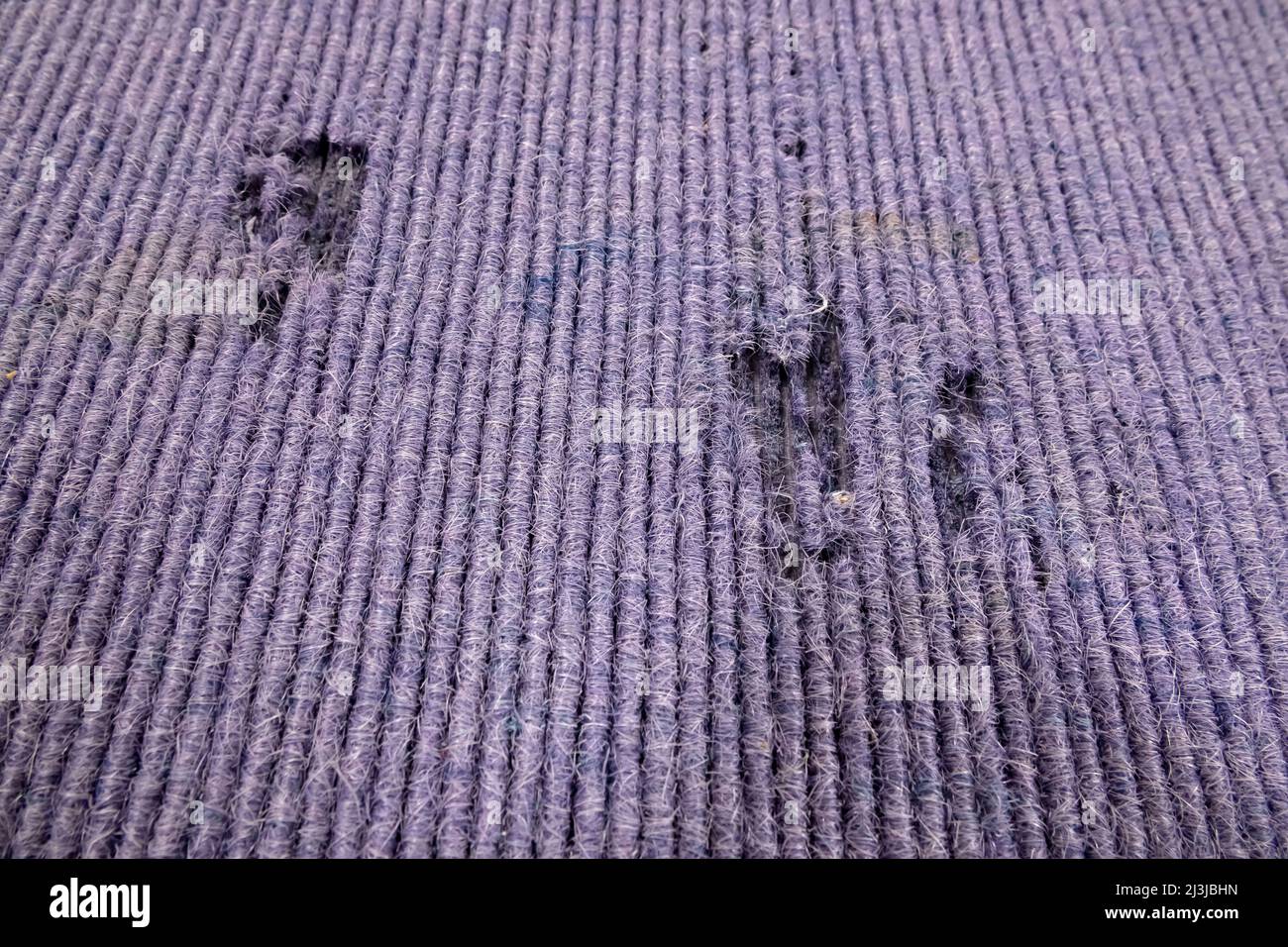 Moth damage hires stock photography and images Alamy