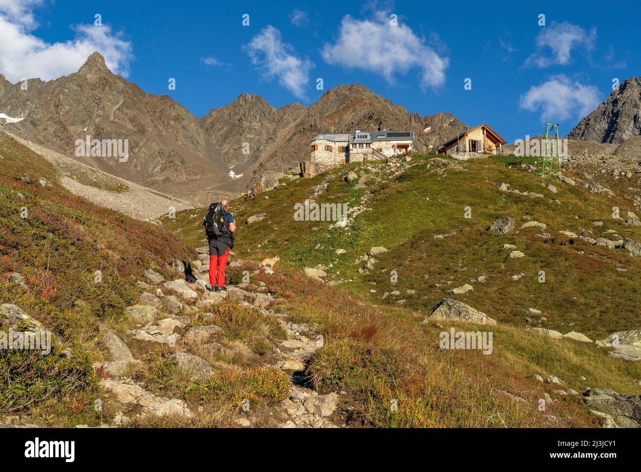 Europe, Alps, Austria, Tyrol, Pitztal, Geigenkamm, hiker ascending to Rüsselsheimer Hut Stock Photo