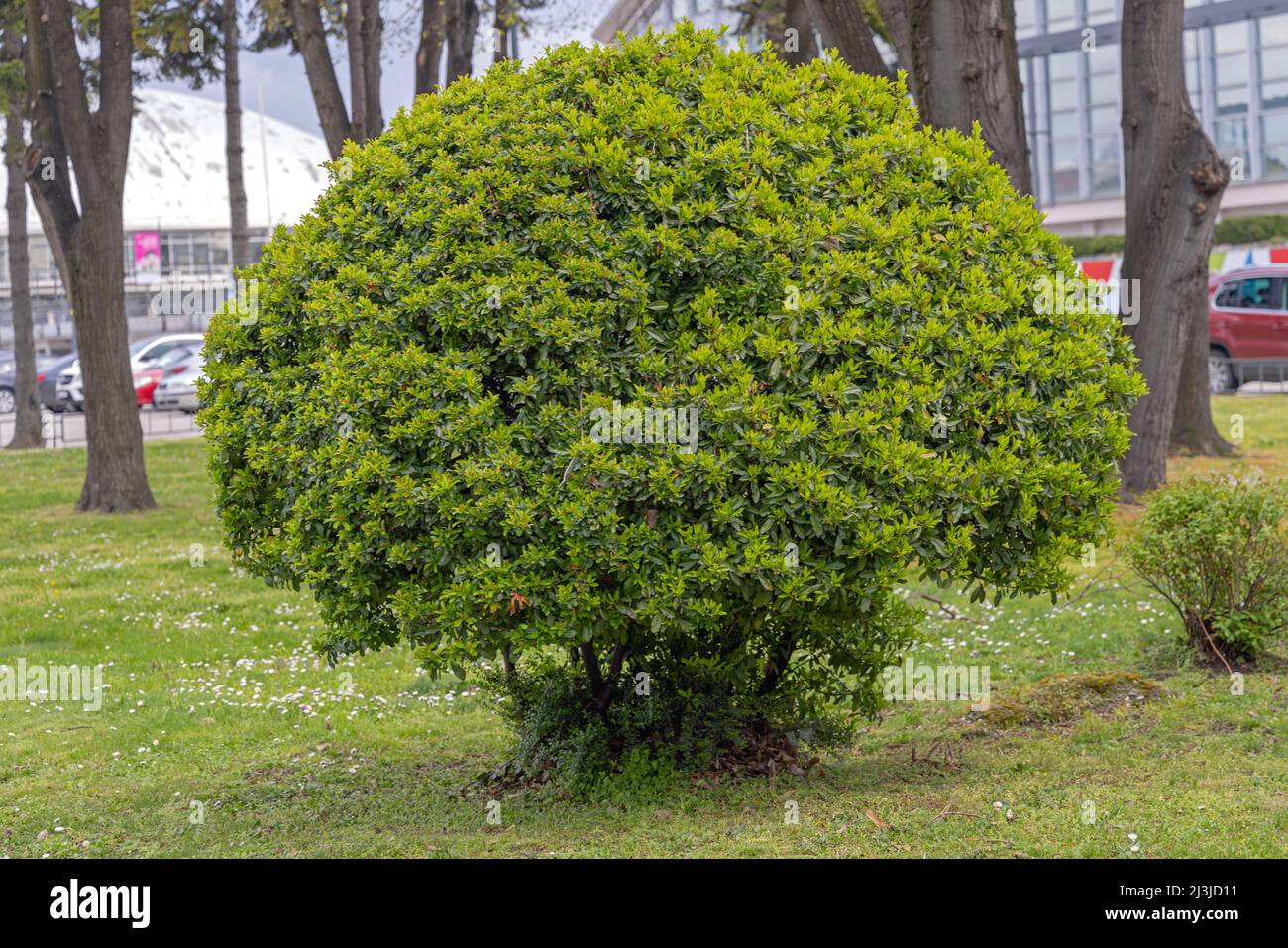 In city park spring hi-res stock photography and images - Alamy