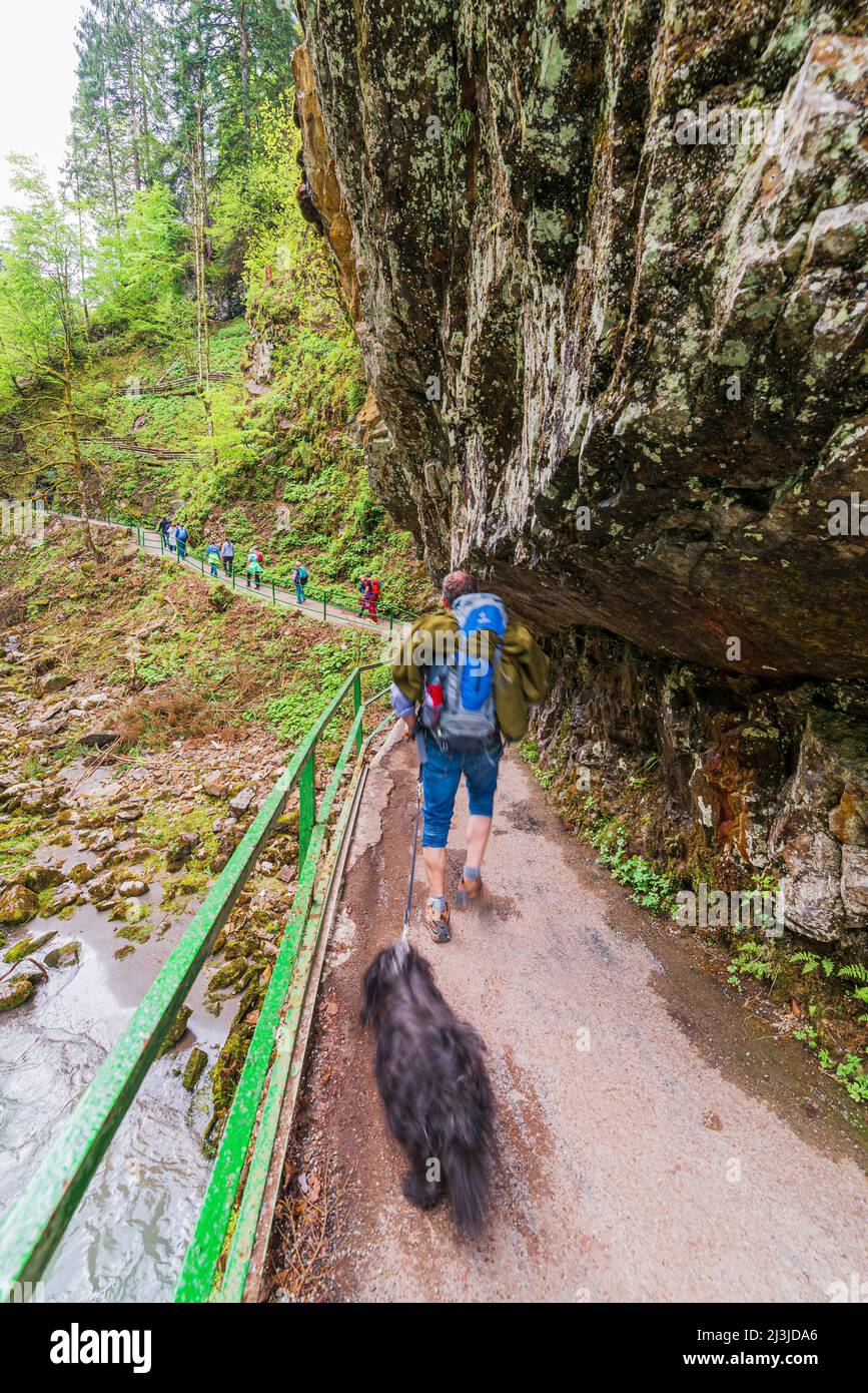 A person with dog (Tibetan Terrier) walks through the gorge Stock Photo