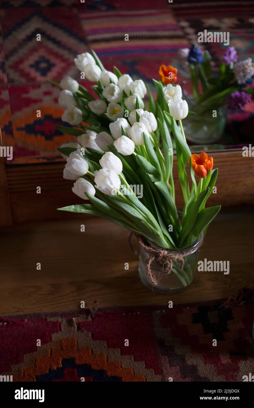 White tulip bouquet with a single orange tulip in front of a mirrored cabinet Stock Photo