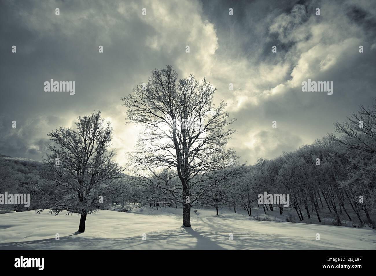 dramatic sky of toned winter landscape in Nebrodi Park at evening, Sicily Stock Photo