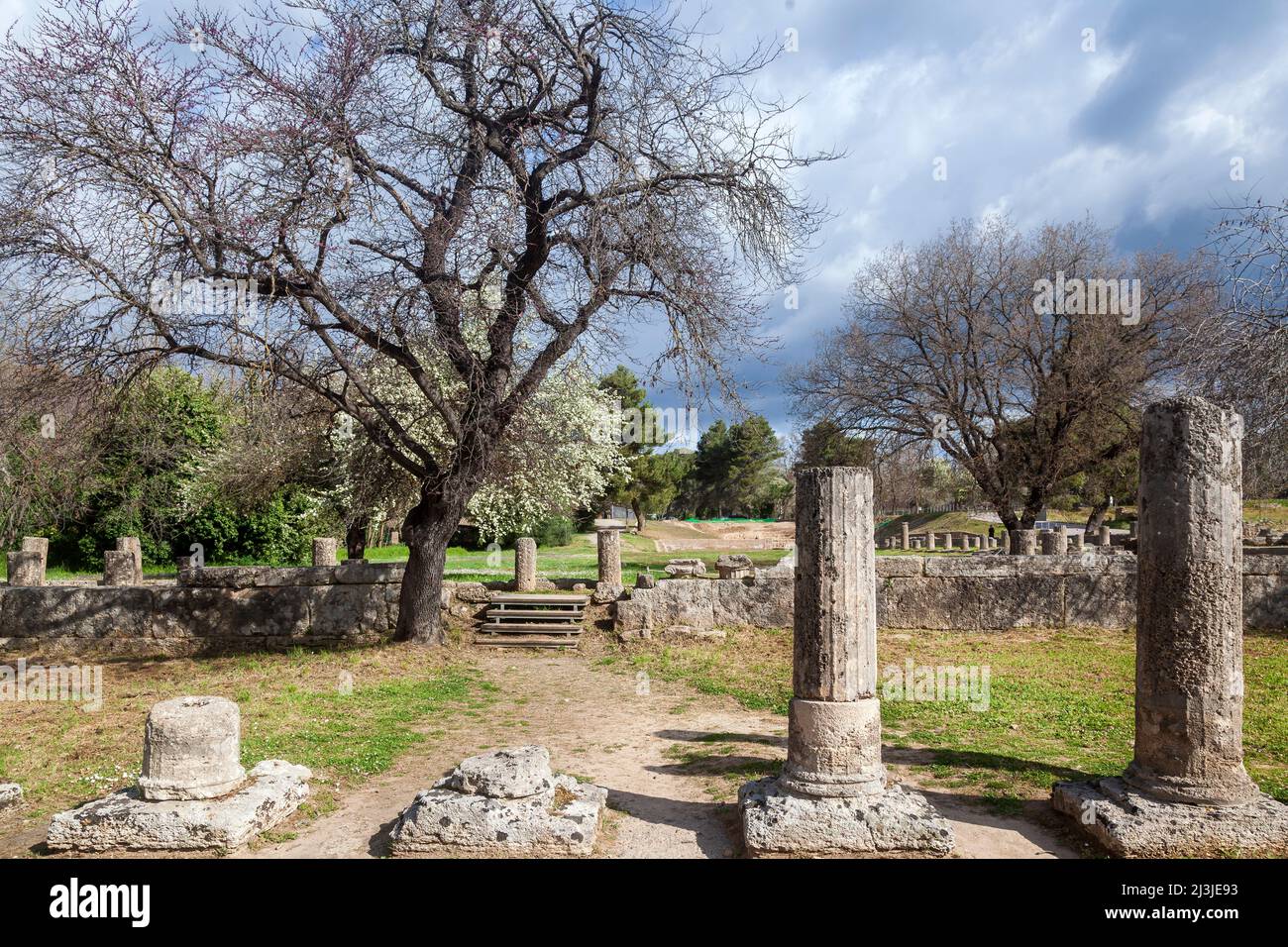 Ancient Olympia, the Palaestra site, part of the Gymnasium complex, used to practice boxing, wrestling and jumping during the ancient Olympic Games. Stock Photo