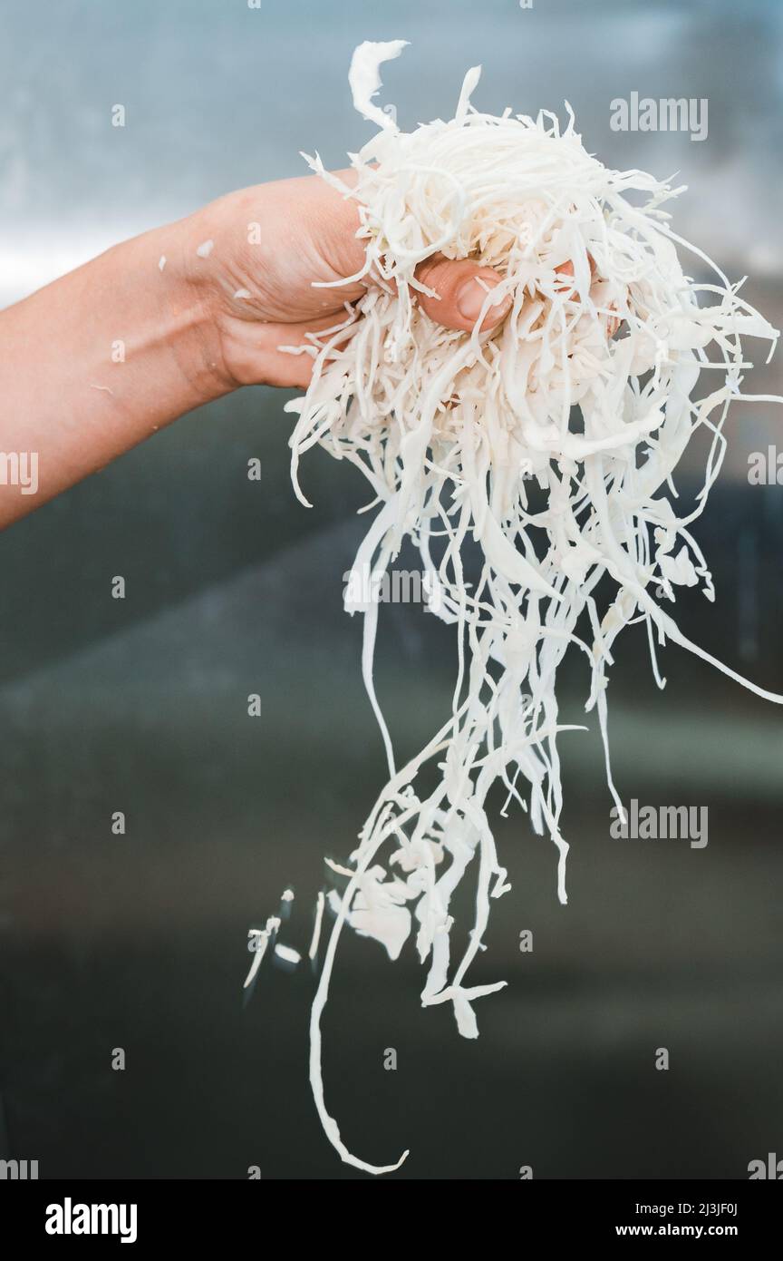 Chopped vegetable production hi-res stock photography and images - Alamy