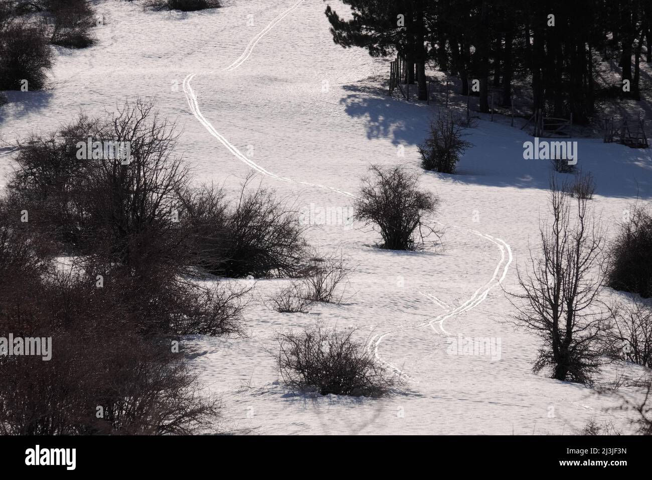 winter landscape with ski tracks in Nebrodi Park, Sicily Stock Photo