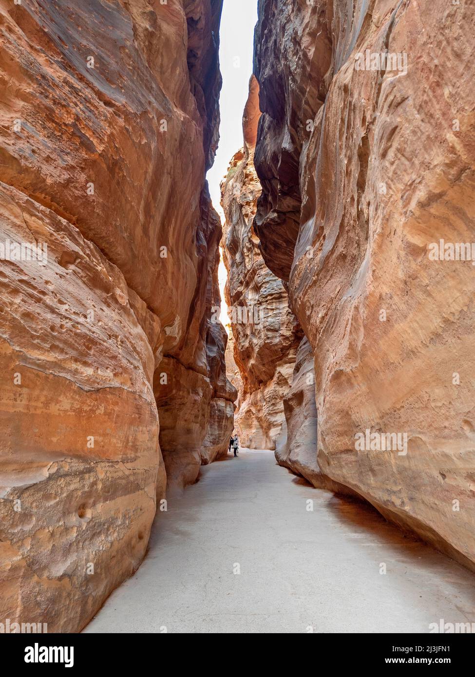 In the canyon that leads to the famous ancient Treasury of Petra, in Jordan, Middle East, Asia, one of the most exciting touristic attractions ever. Stock Photo