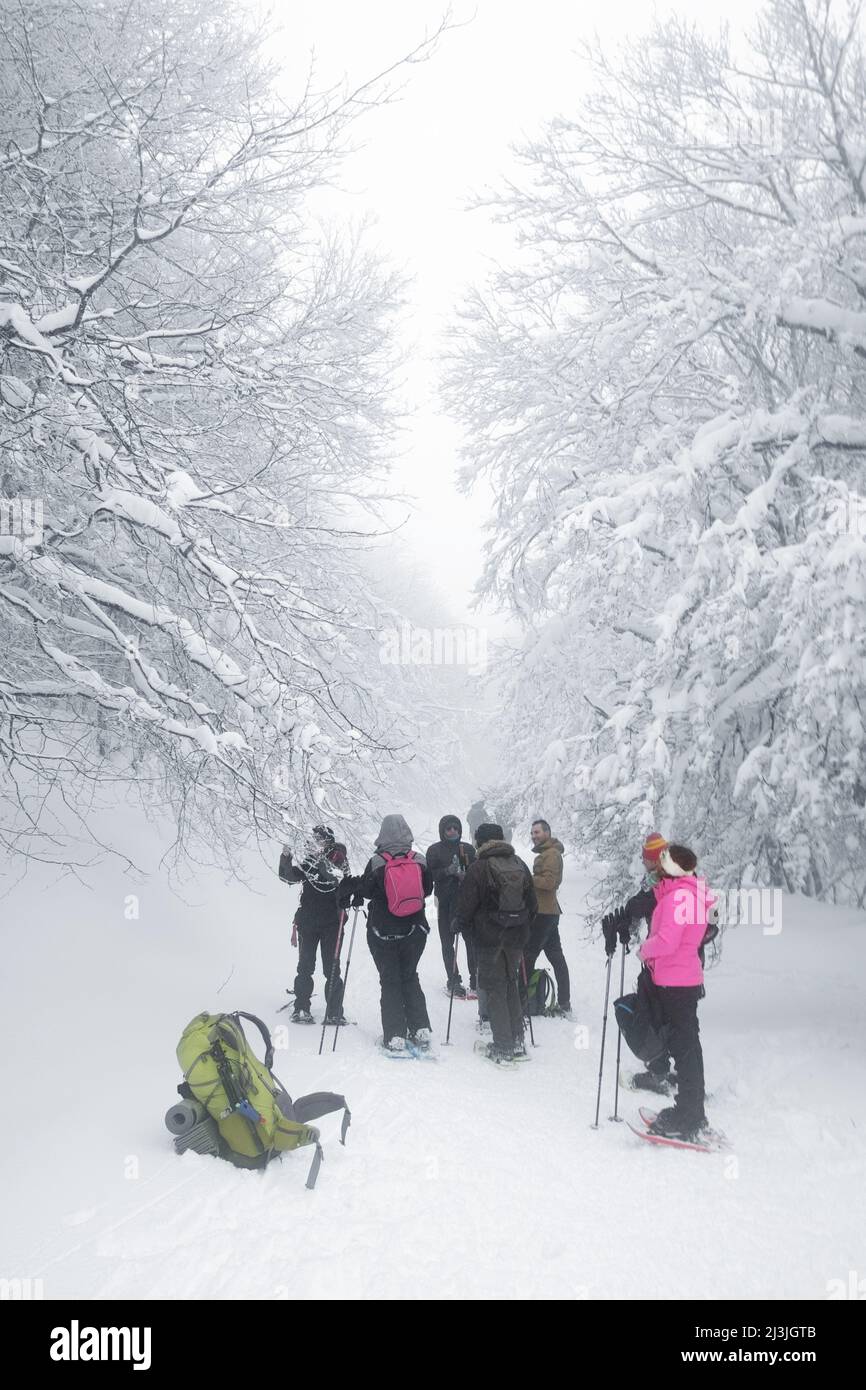 NEBRODI PARK, SICILY, ITALY - JANUARY 12, 2019: a group of hikers walking on trail snow covered in a foggy day Stock Photo