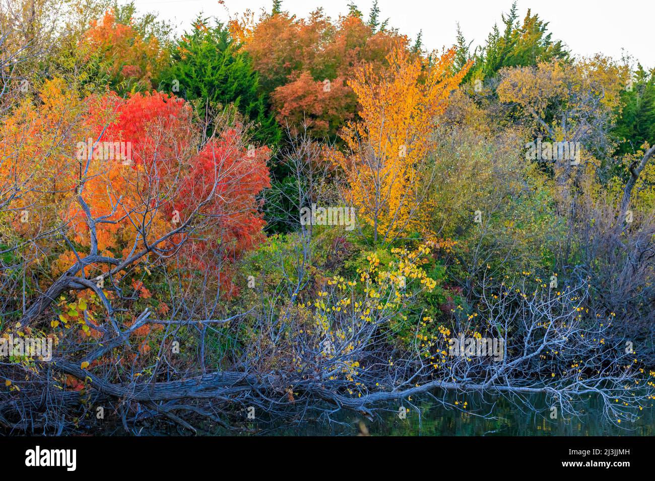 Fall Foliage at Lake Hefner in Oklahoma City, OK Stock Photo Alamy