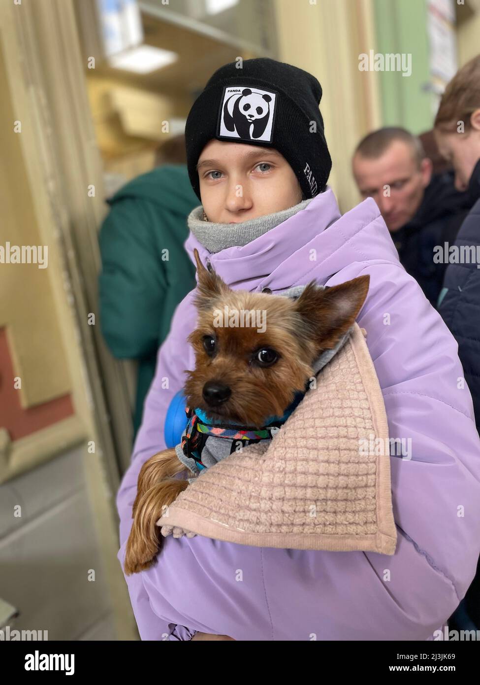 Przemysl, Poland. 8th Apr, 2022. Girl in lavender holds her adorable dog, as her family awaits a train far away from Putin's reign of terror. A long line of refugees is behind her, as well as the ticket booth station. (Credit Image: © Amy Katz/ZUMA Press Wire) Stock Photo