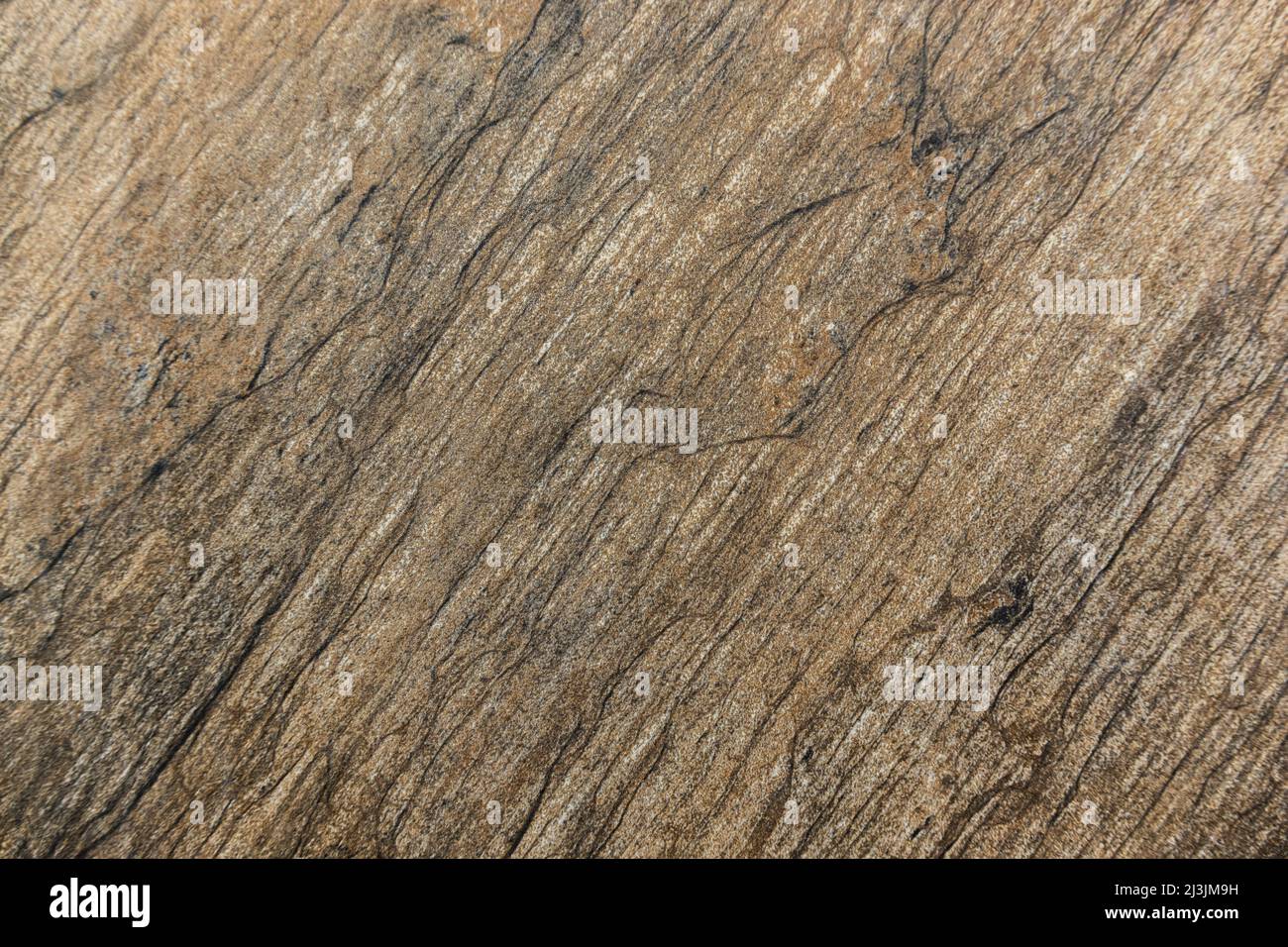 Grunge messy wall surface with decorative stucco texture Stock Photo