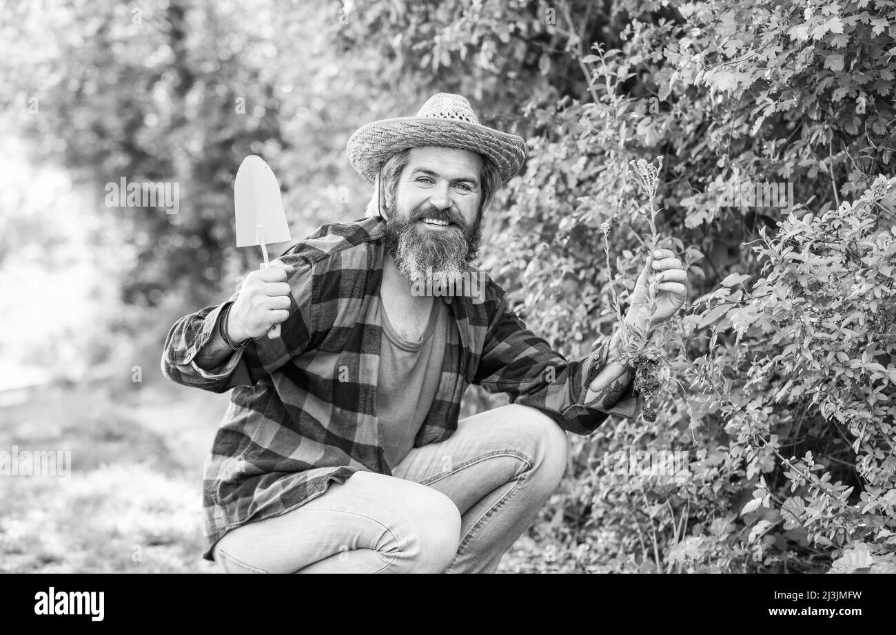 mature man gardener. Trowel digging soil. Garden tools. seeds and soil. Spring in the garden. Farmer giving fertilizer. The gardener digging in garden Stock Photo