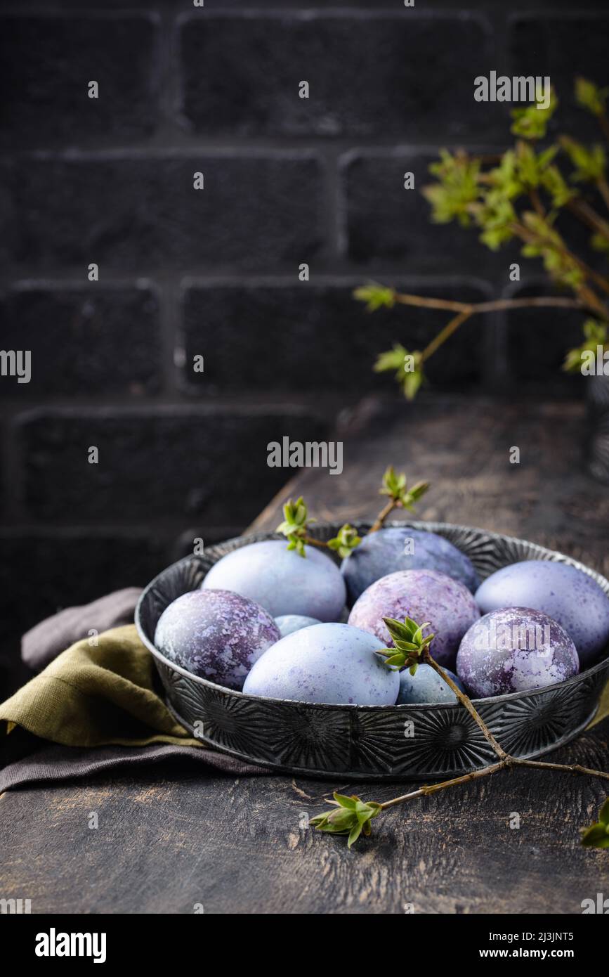 Festive Easter eggs in purple and blue color Stock Photo - Alamy