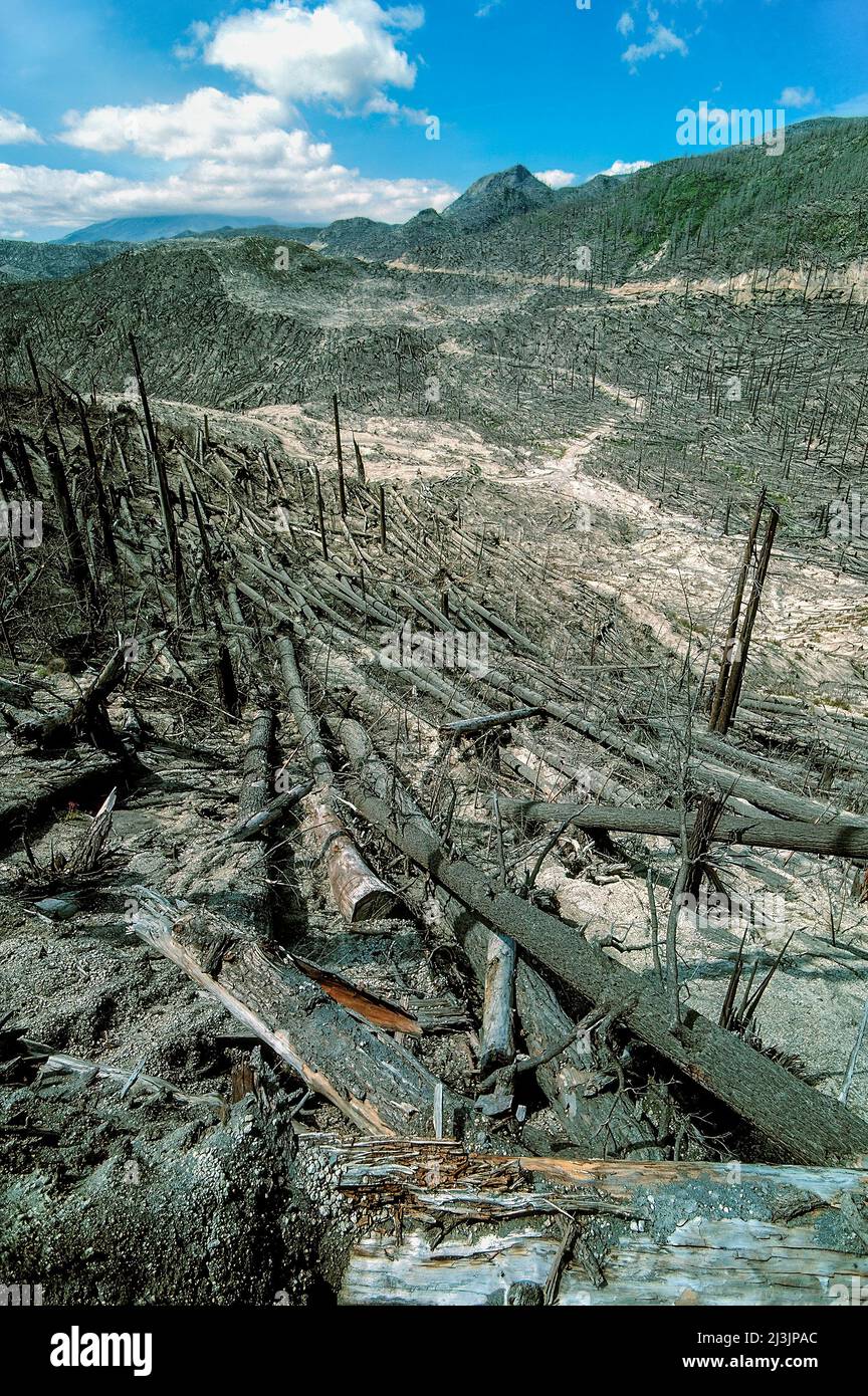 Mt. St. Helen's Destruction 1980, Washington Stock Photo