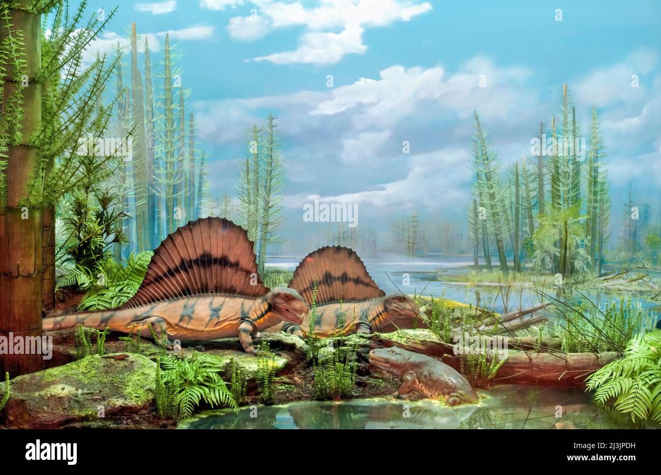 Permian Period Diarama, Life comes to the Land, Dimetrodon grandis Stock Photo