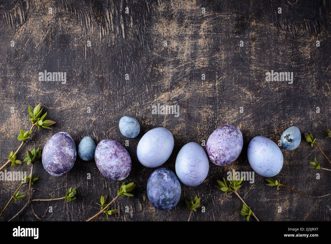 Festive Easter eggs in purple and blue color Stock Photo