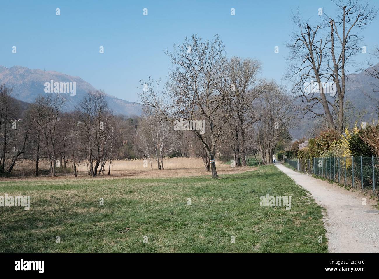 Natural park at Lake Origlio Stock Photo - Alamy