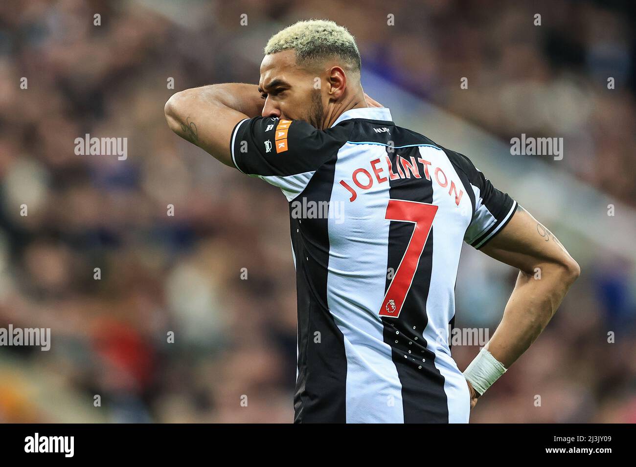 Joelinton #7 of Newcastle United during the game Stock Photo - Alamy