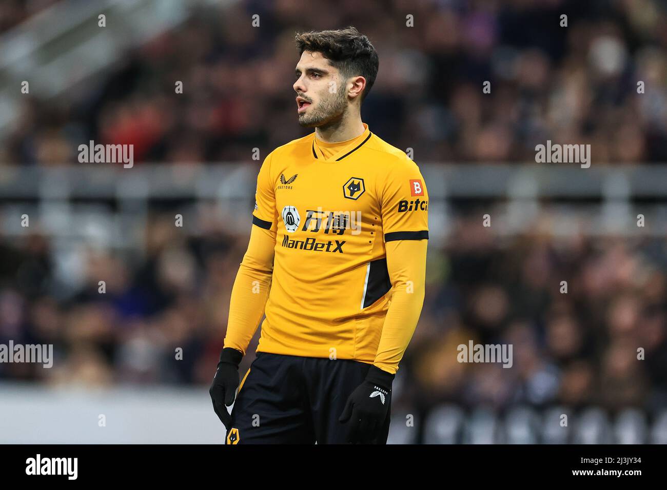 Pedro Neto #7 of Wolverhampton Wanderers during the game Stock