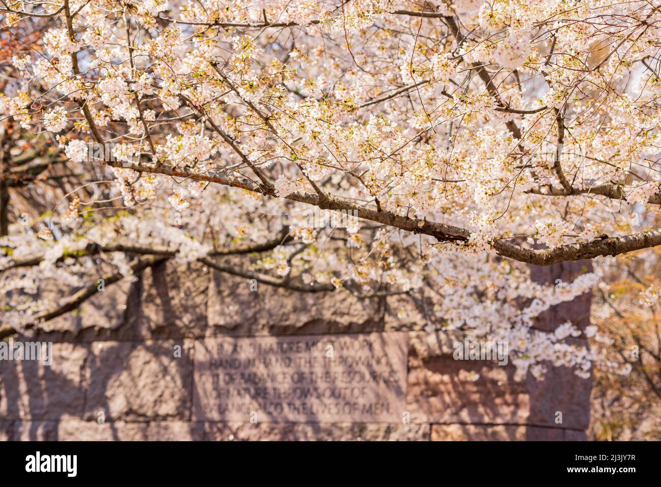 Tidal basin area hi-res stock photography and images - Alamy