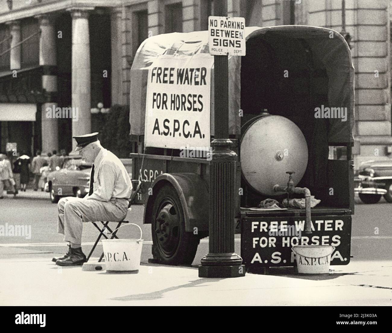 Man sitting on Chair near Wagon with Water Tank in back to provide horses  with free water by the American Society for the Prevention of Cruelty to  Animals, Sign on trailer reads 