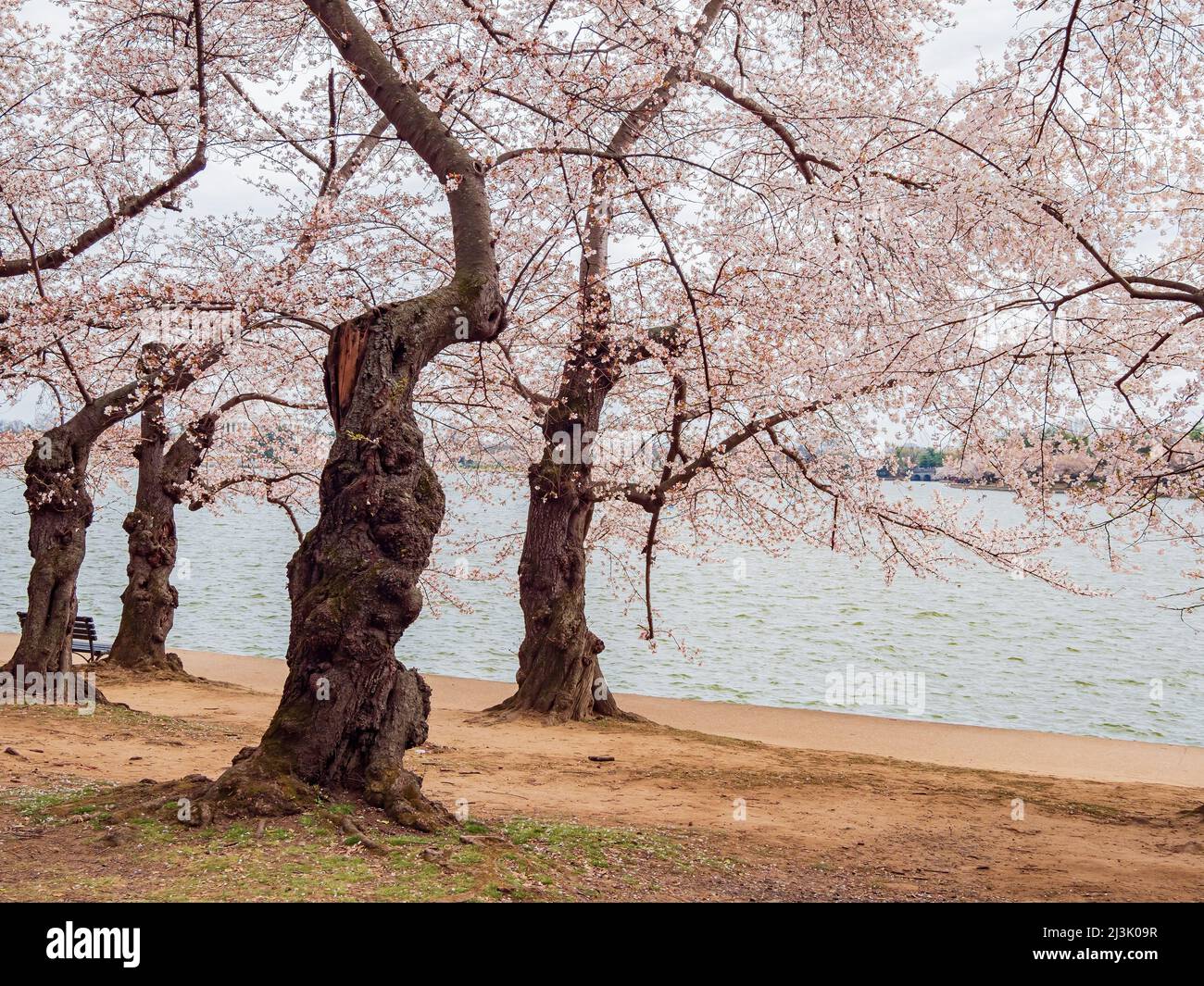 Tidal basin reservoir hi-res stock photography and images - Alamy