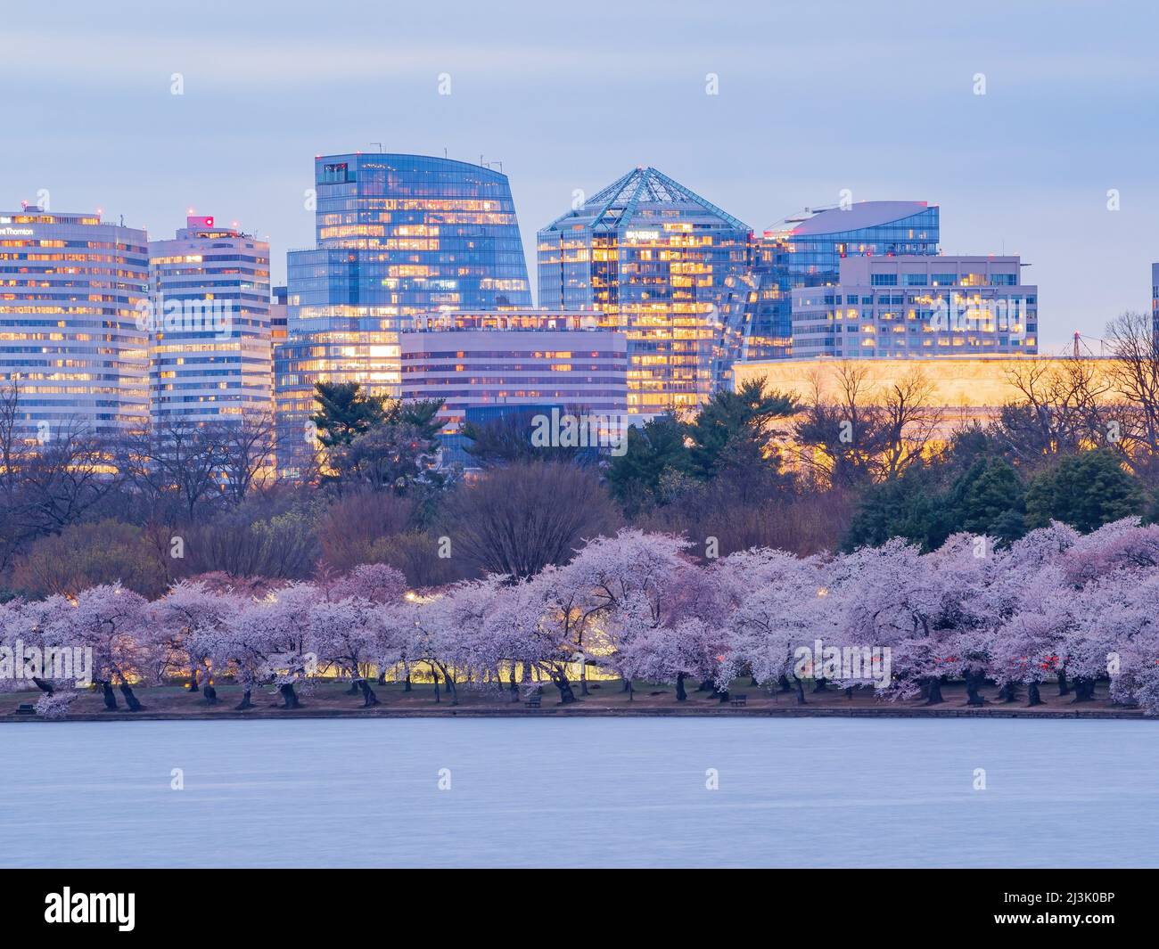 Beautiful sunset skyline of downtown with cherry blossom at Washington ...