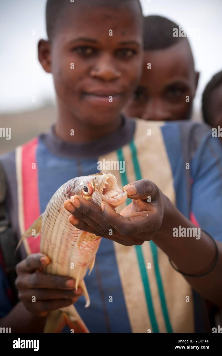 A Congolese man shows off the teeth of a Congo River tigerfish.; Bulu, Democratic Republic of the Congo. Stock Photo