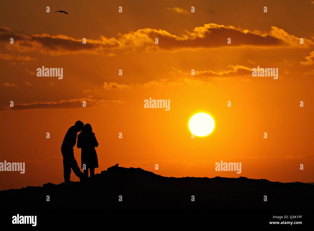 Couple watchig the sunset on Grand Gaou island, Six-Fours-les-Plages, Var, Provence-Alpes-Côte d'Azur, France Stock Photo