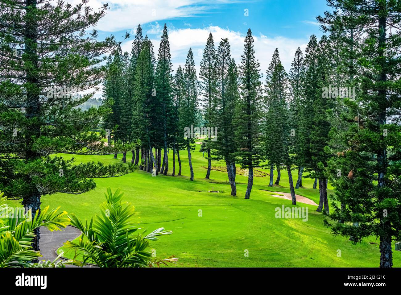Golf course on the island of Maui, Hawaii, USA; Maui, Hawaii, United