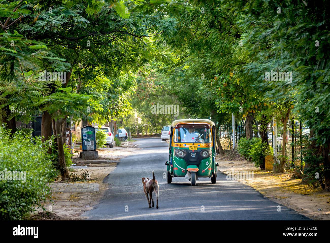 Auto rickshaw and dog on a street in India; Greater Noida, Uttar Pradesh, India Stock Photo