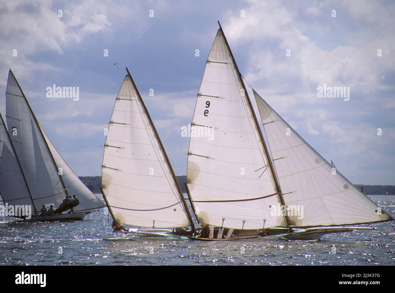 Log canoe racing on the Tred Avon River.; Chesapeake Bay near St ...