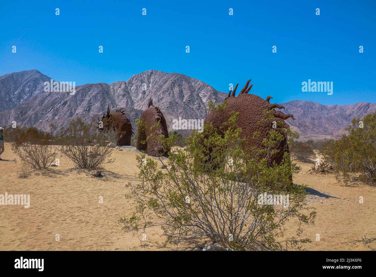 The Borrego Springs Serpent is the larger than life sculpture by Ricard Breceda in the Galleta Meadows in the town of Borrego Springs, California. Stock Photo