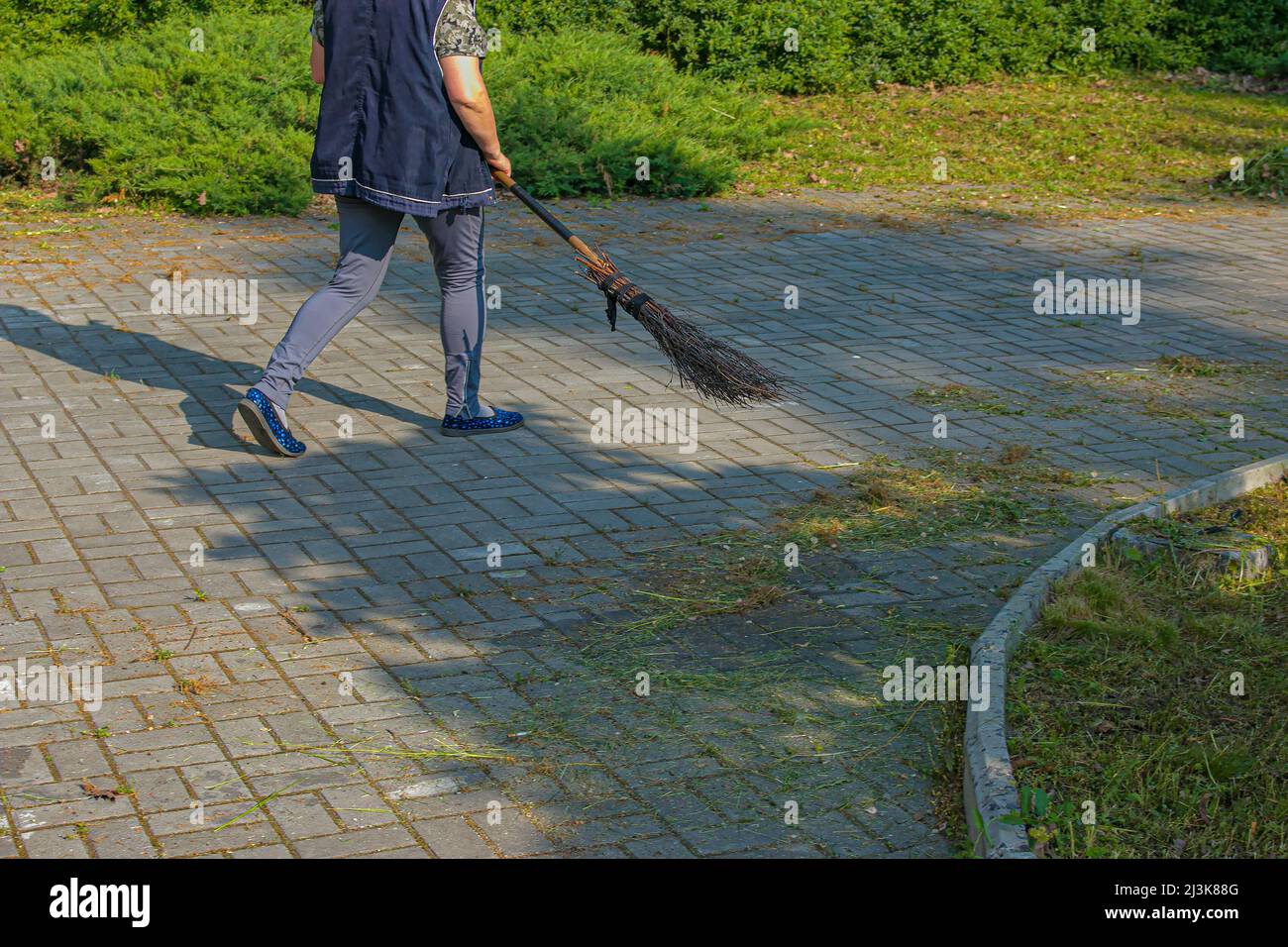 A woman sweeps fallen leaves with a broom on the street. The municipal service monitors the cleanliness in the city. Stock Photo