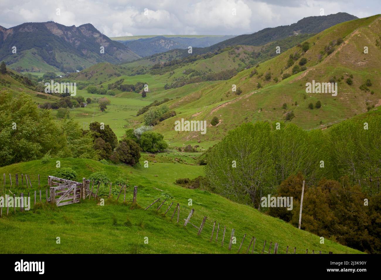 Farmland north of Gisborne, Anaura Road Valley Scene, north island, New Zealand. Stock Photo