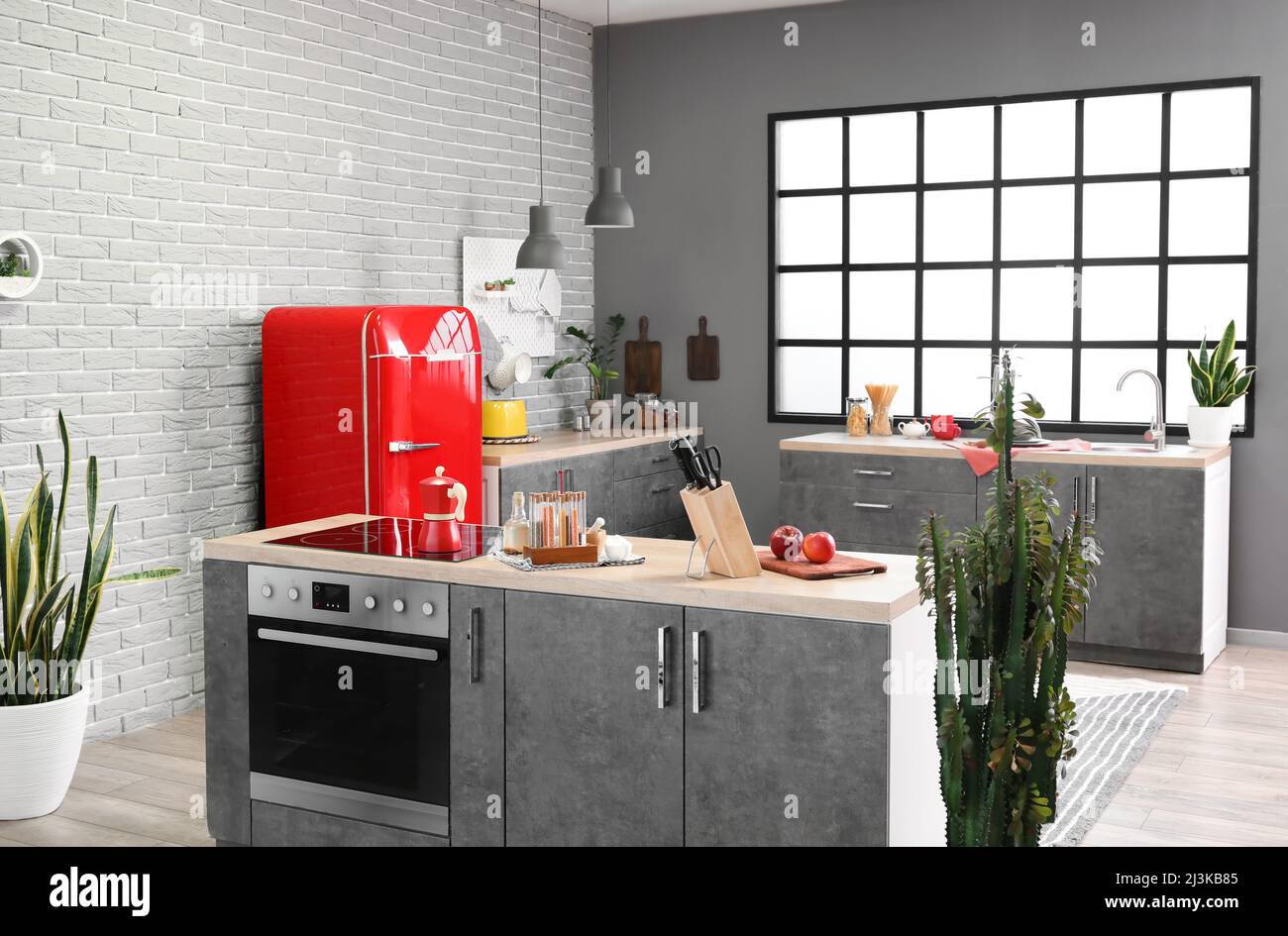 Interior of modern kitchen with counters, houseplants and stylish ...