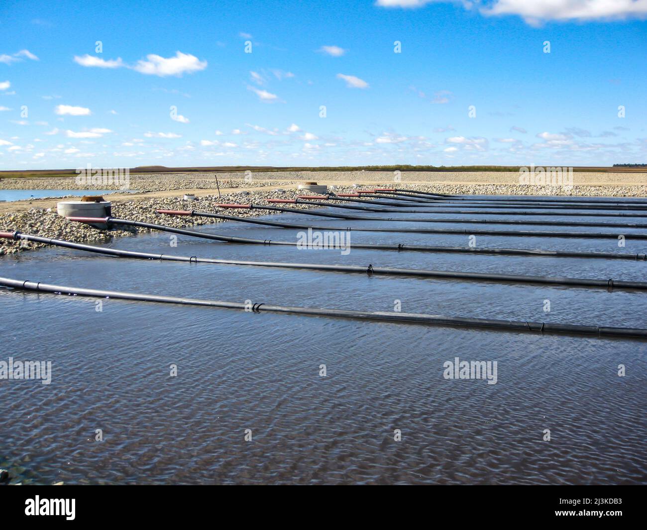 Floating lines from blower feeding aerators in a wastewater treatment lagoon for high organic waste. Stock Photo