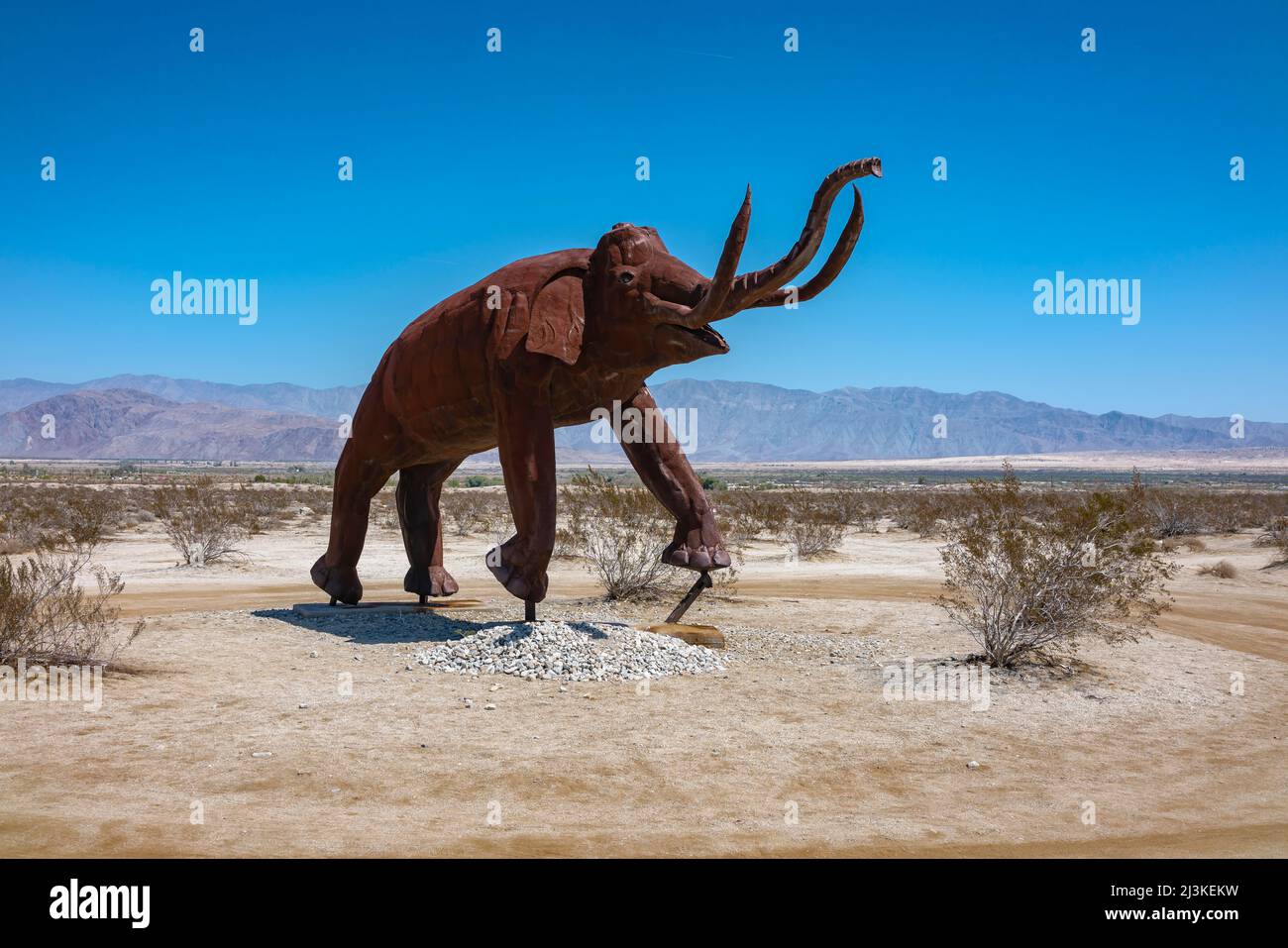 Columbian Mammoth (Mammuthus columbi) welded steel sculpture by sculptor Ricardo Breceda in the Galleta Meadows in Borrego Springa, California in the Stock Photo