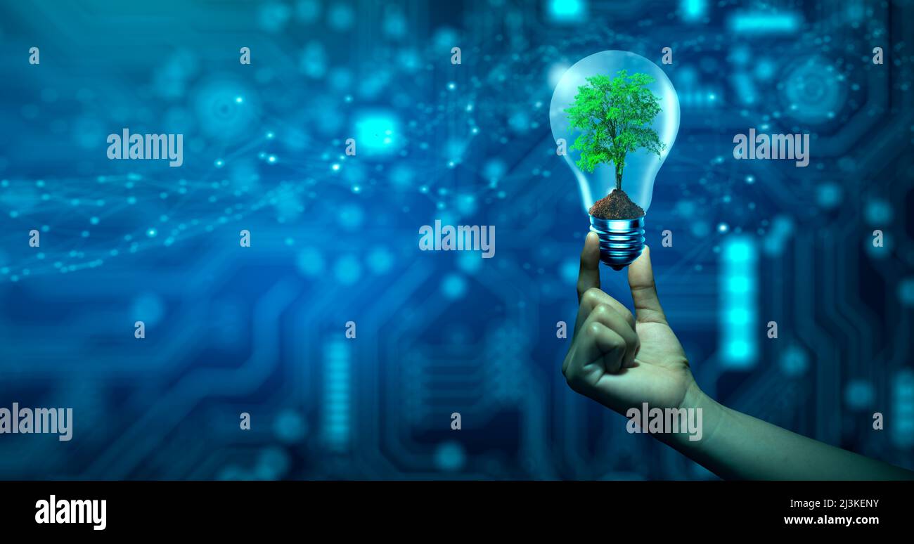 Hand holding Tree growing in light bulb. Ecology and Technology Convergence. Green Computing, Green Technology, Green IT, csr, and IT ethics Concept. Stock Photo