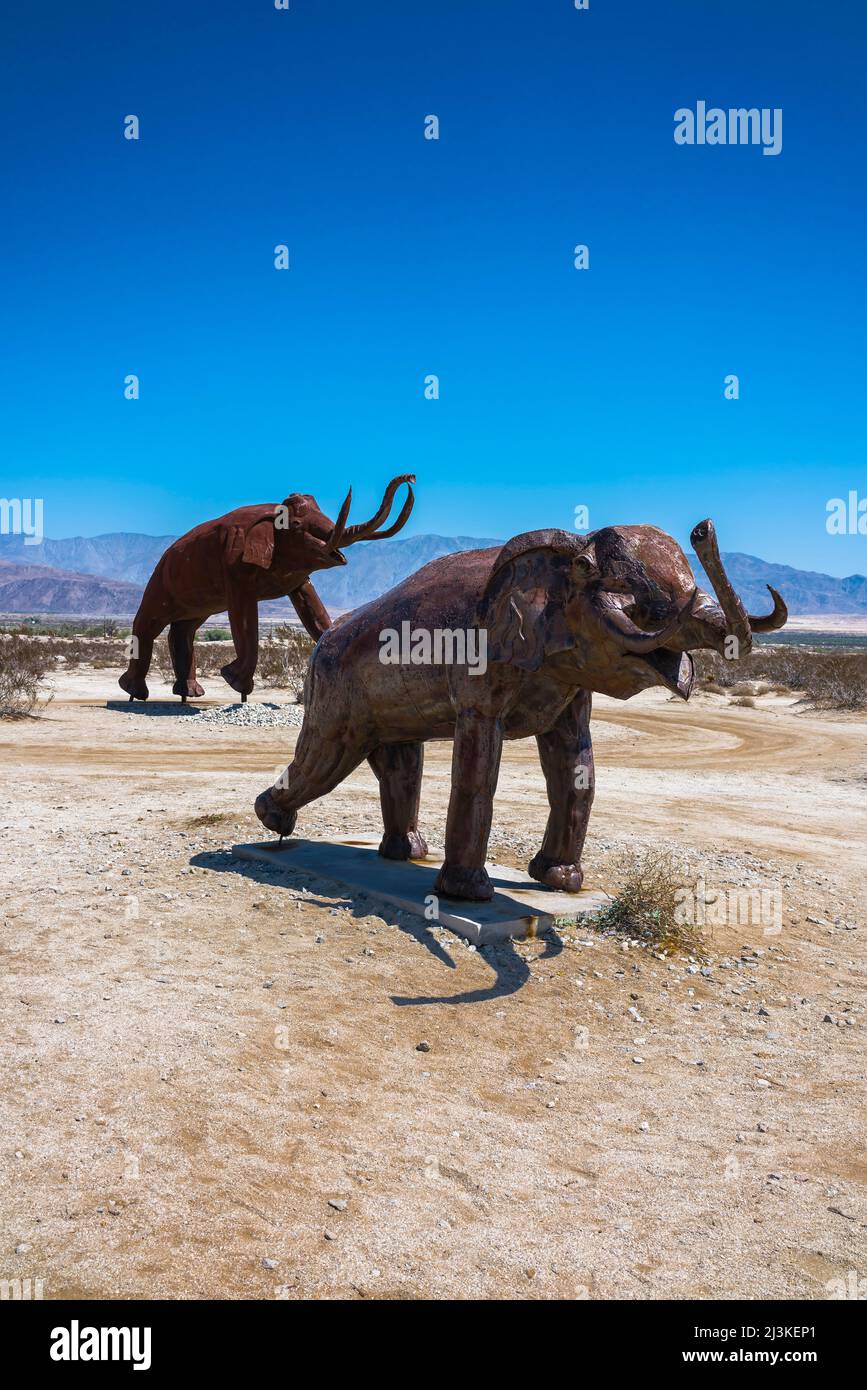 Two Columbian Mammoths (Mammuthus columbi) welded steel sculptures by sculptor Ricardo Breceda in the Galleta Meadows in Borrego Springa, California. Stock Photo