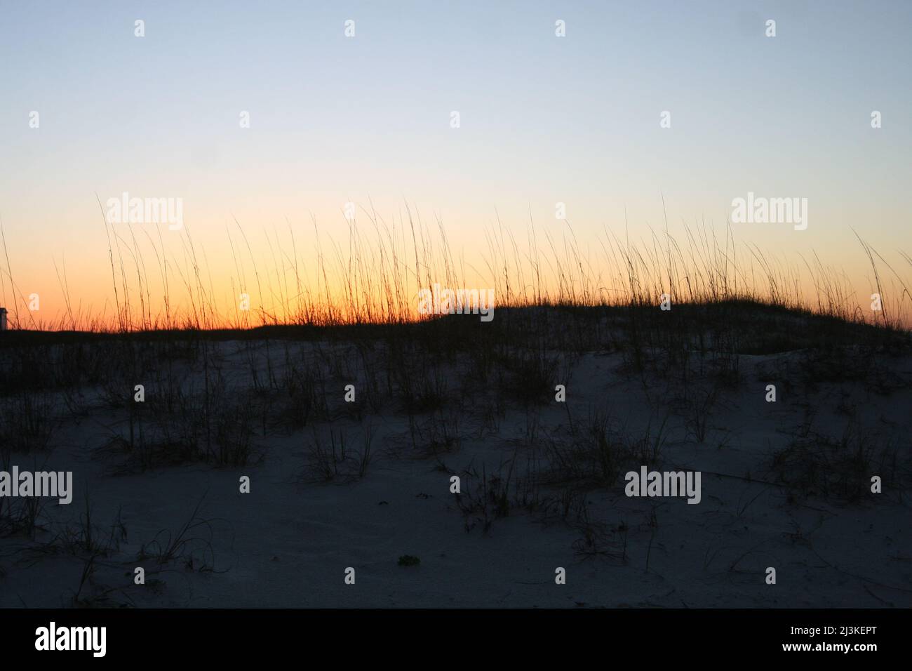 Gulf shores dune project hi-res stock photography and images - Alamy