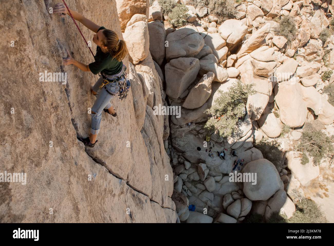 Tree climber ascending tree hires stock photography and images Alamy