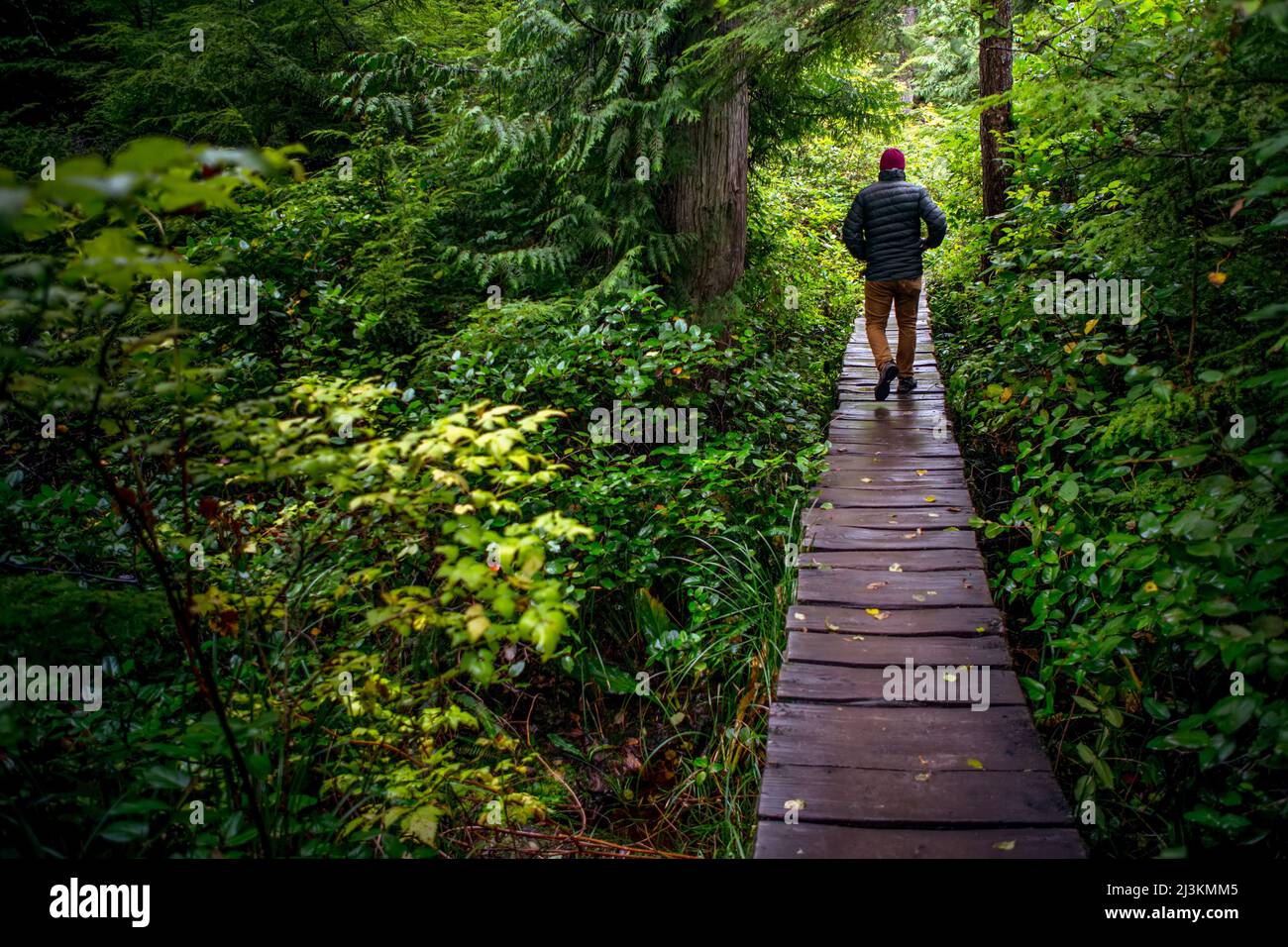 Man walks full length hi-res stock photography and images - Alamy