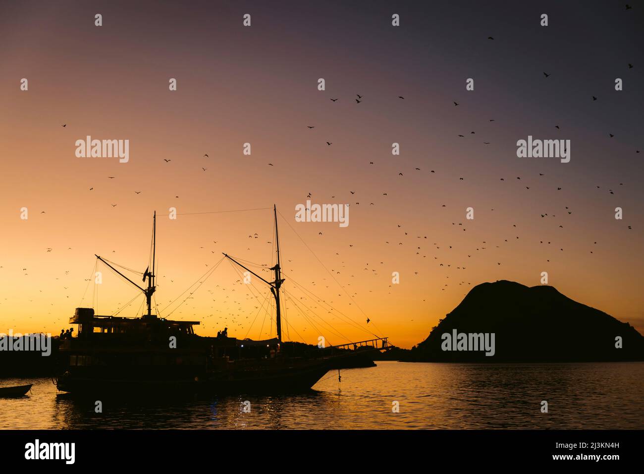 Silhouetted flock of birds flying in a sunset sky over water and sailing vessel along a coastline, Komodo National Park; East Nusa Tenggara, Indonesia Stock Photo