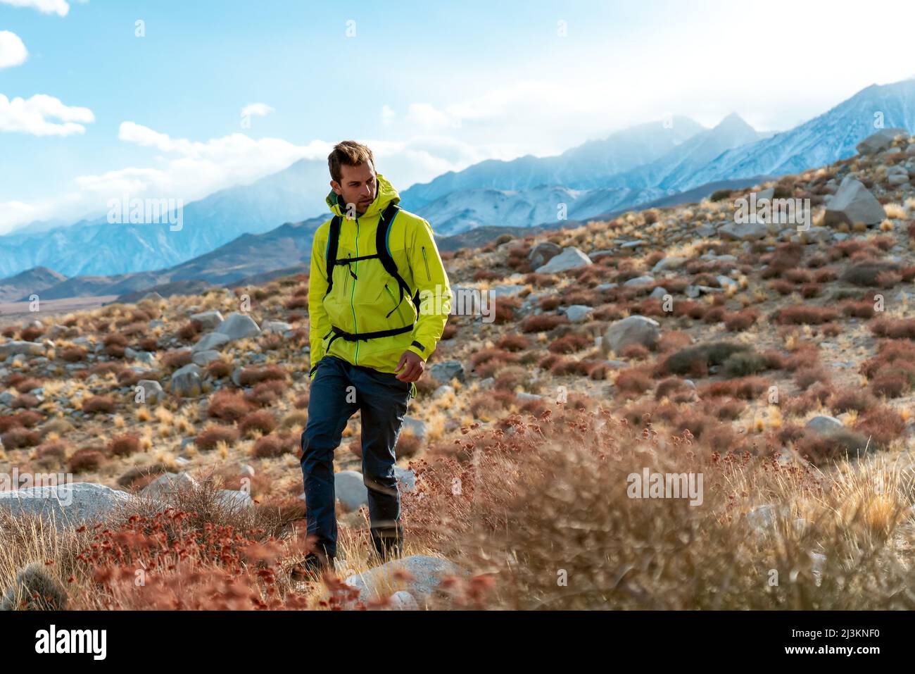 Man in a bright yellow jacket hiking in the Eastern Sierra; California, United States of America Stock Photo